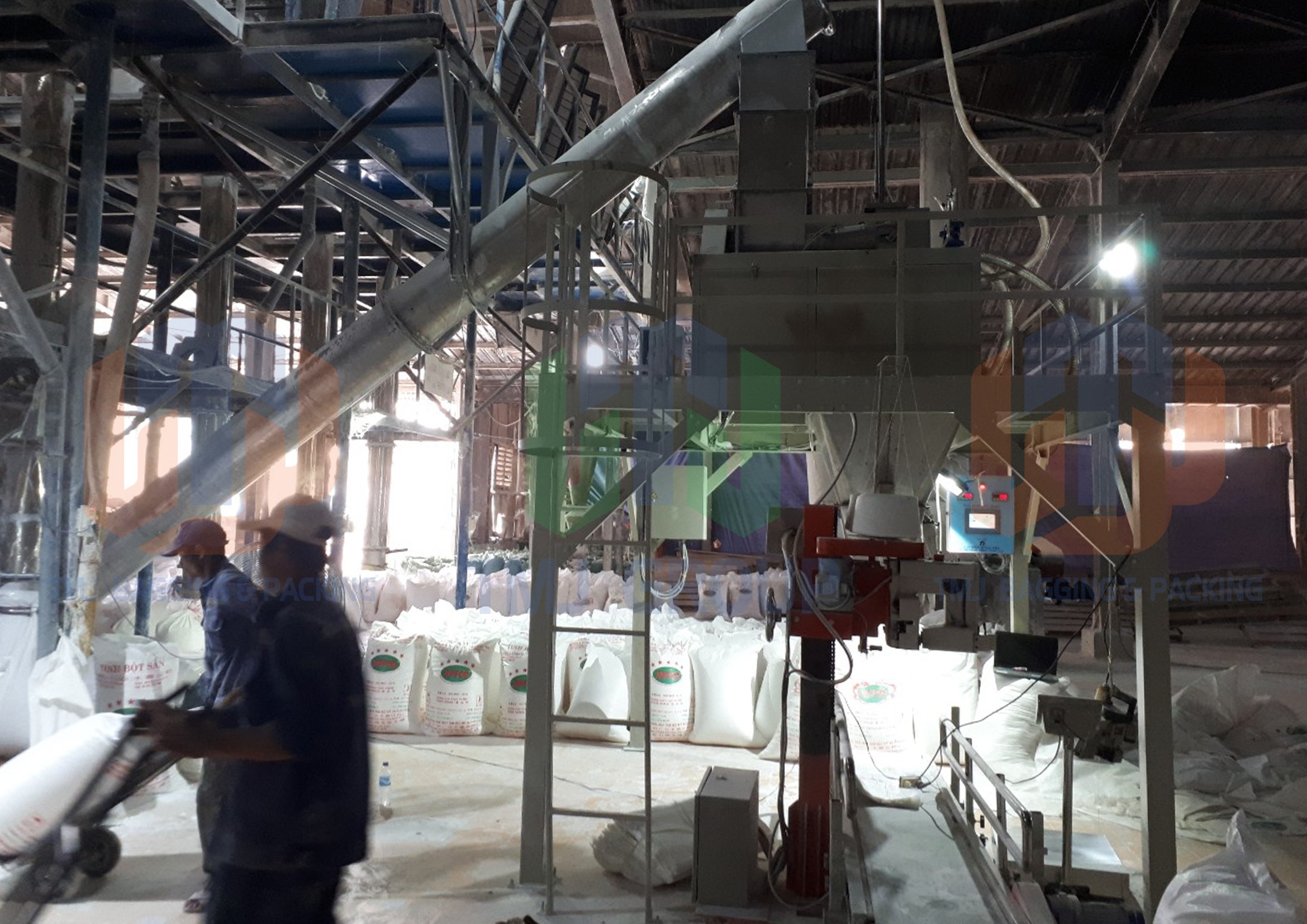 Máy cân đóng bao tinh bột sắn, tinh bột mì, có hút chân không